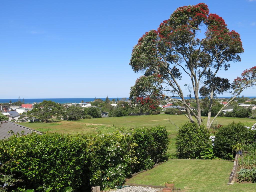 Atalaya Apartment Waihi Room photo