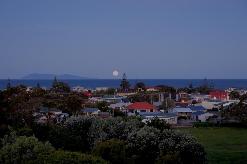 Atalaya Apartment Waihi Room photo